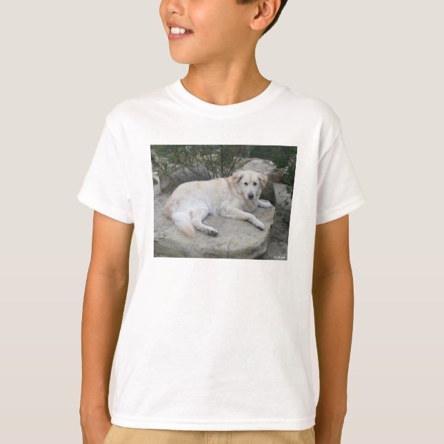 Camiseta Perro descansando sobre una roca (Anverso)