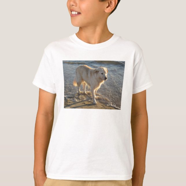 Camiseta Perro en la orilla (Anverso)