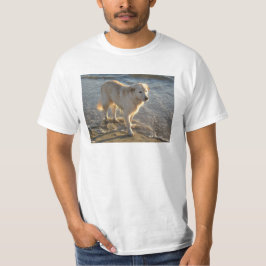 Camiseta Perro en la orilla