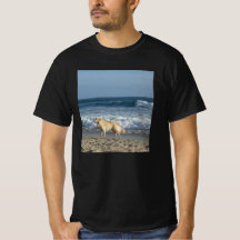 Perro En La Playa