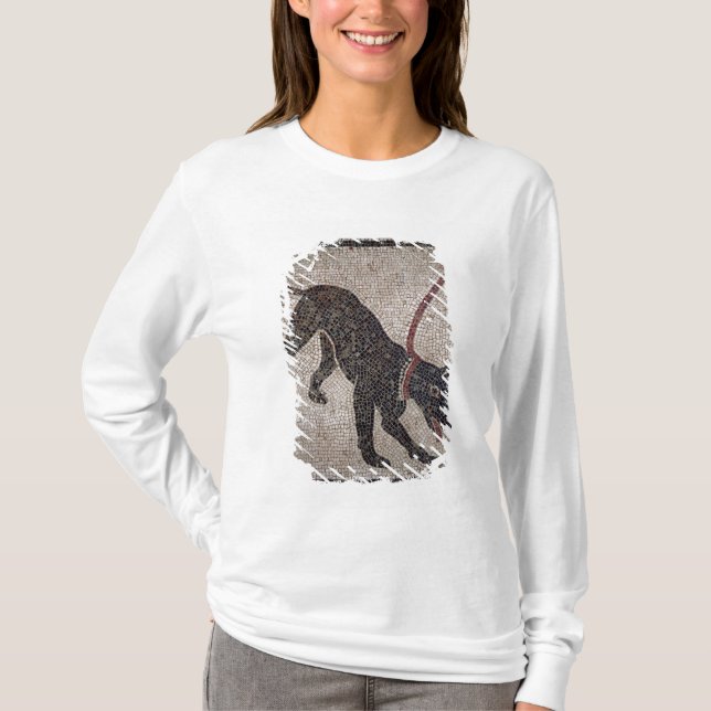 Camiseta Perro en un correo, de Pompeya (Anverso)