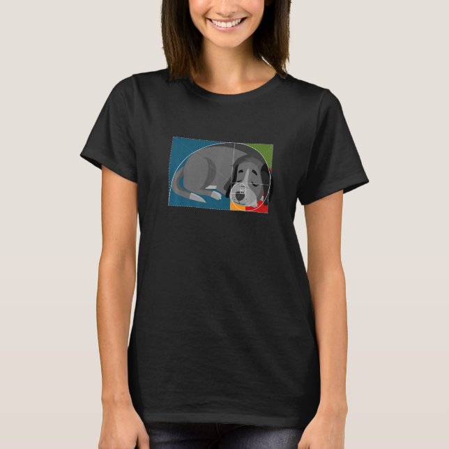 Camiseta Perro fibonacci o cociente dorado y espiral o fibo (Anverso)