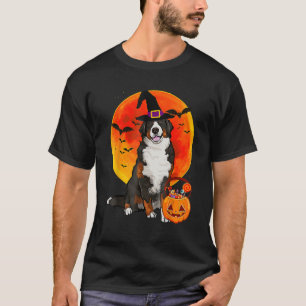 Camiseta Perro Halloween Bernese Mountain Dog Jack O Lanter