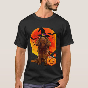 Camiseta Perro Halloween Sussex Español Jack O Lantern Pump