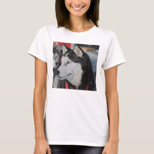 Camiseta Perro husky antes de una carrera, Canadá