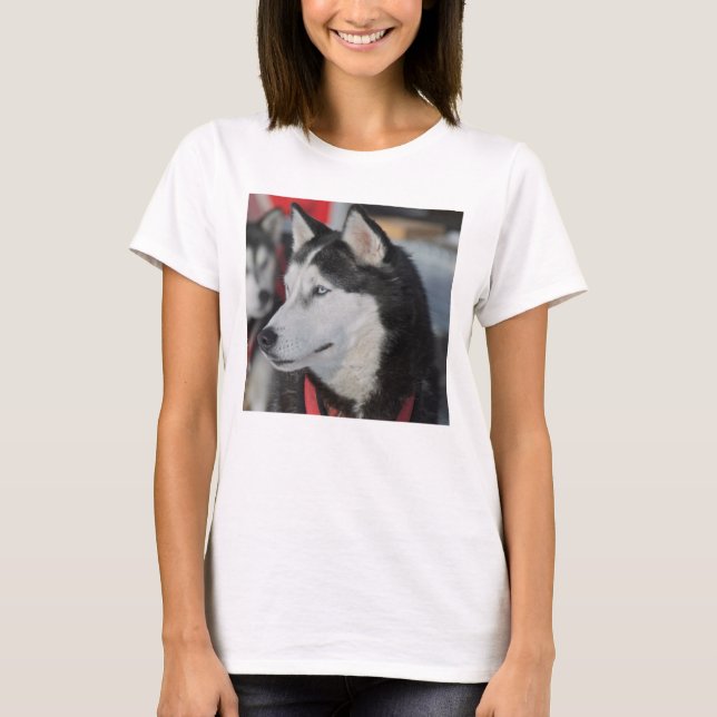 Camiseta Perro husky antes de una carrera, Canadá (Anverso)