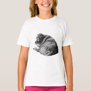 Camiseta Perro invernal tranquilo comparte comodidad en som