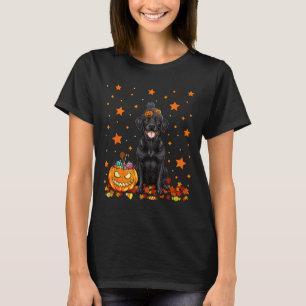 Camiseta Perro Labrador Negro y Caramelo de Calabaza Divert