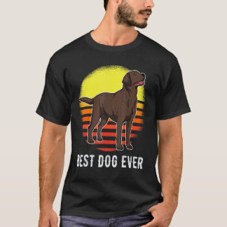 Camiseta Perro Labrador Retriever Atardecer 34