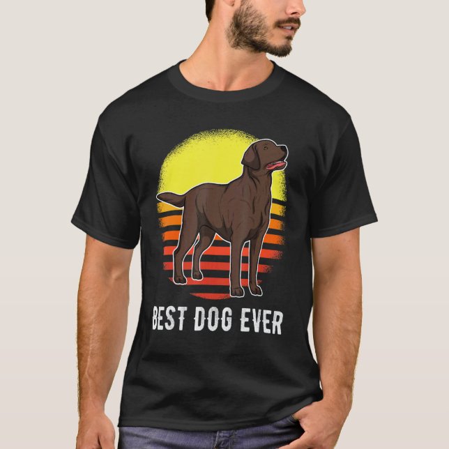 Camiseta Perro Labrador Retriever Atardecer 34 (Anverso)