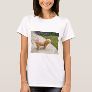 Camiseta Perro Lhasa Apso en un jardín