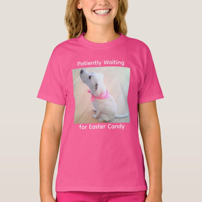 Camiseta Perro lindo con bufanda esperando el dulce de pasc (Anverso)