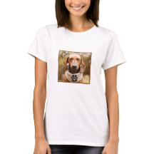 Perro marrón de Dachshund con los ojos cerrados