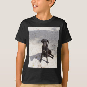 Camiseta Perro negro con ojo malvado