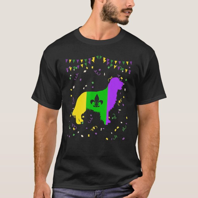 Camiseta Perro recuperador de oro Mardi Gras disfraz hombre (Anverso)