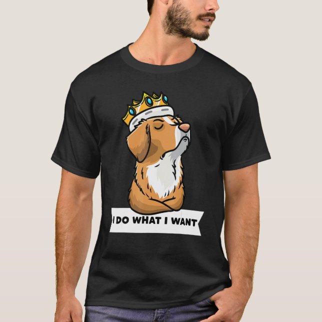 Camiseta Perro recuperador de peaje de pato de Nueva Escoci (Anverso)