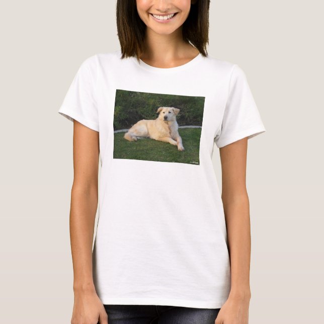 Camiseta Perro Relajante (Anverso)
