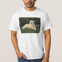 Perro Relajante