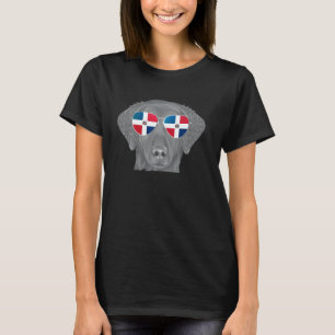 Camiseta Perro Retriever de Pelo Rizado Gafa de Sol Bandera