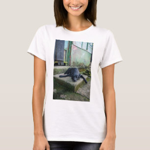 Camiseta Perro soñoliento