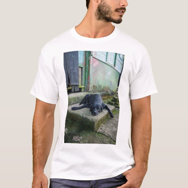Camiseta Perro soñoliento (Anverso)