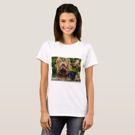 Camiseta Perro Terrier de Yorkshire