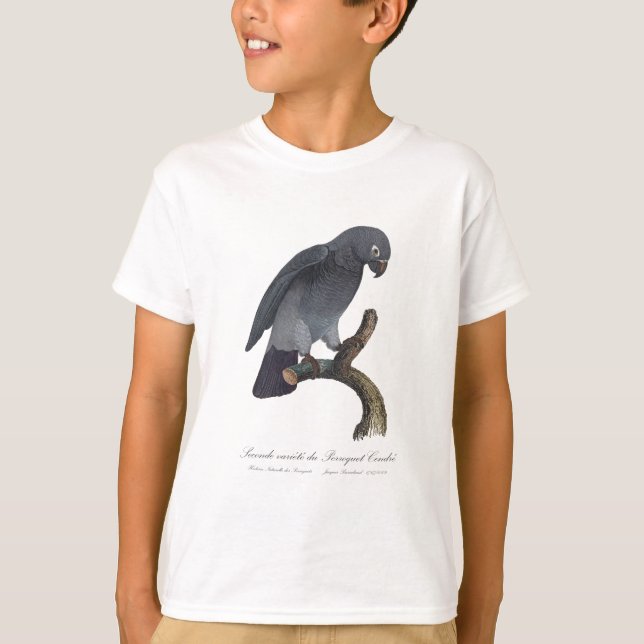 Camiseta Perroquet Cendre / Loro gris tineño africano (Anverso)