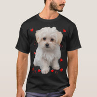 Perros amantes del perro de Malta Diseño de cachor
