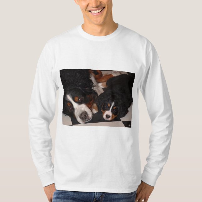 Camiseta Perros de montaña de Berna se dirigen a la camiset (Anverso)