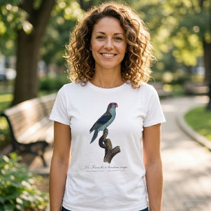 Camiseta Perruche a bandeau rouge / Musk Lorikeet