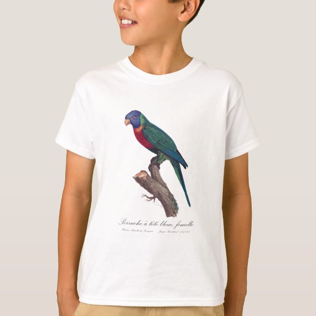 Camiseta Perruche a tete bleue, femelle / lorikeet arcoiris (Anverso)