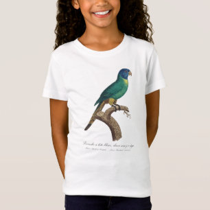 Camiseta Perruche a tete bleue / Lorikeet arcoiris, juvenil