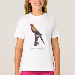 Camiseta Perruche Ara, Guarouba/Parakeet Sun
