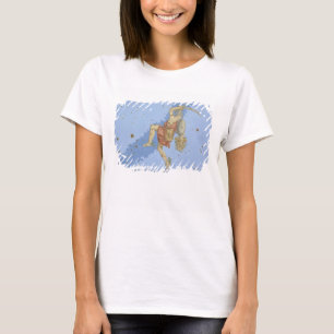 Camiseta Perseus con el jefe de la medusa, de 'Uranometria