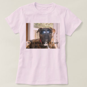Camiseta Persiga al cazador de tesoros