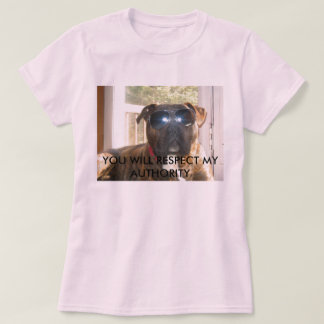 Camiseta Persiga al cazador de tesoros