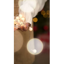 Personalizado de Santa Claus Snowbird Flamingo