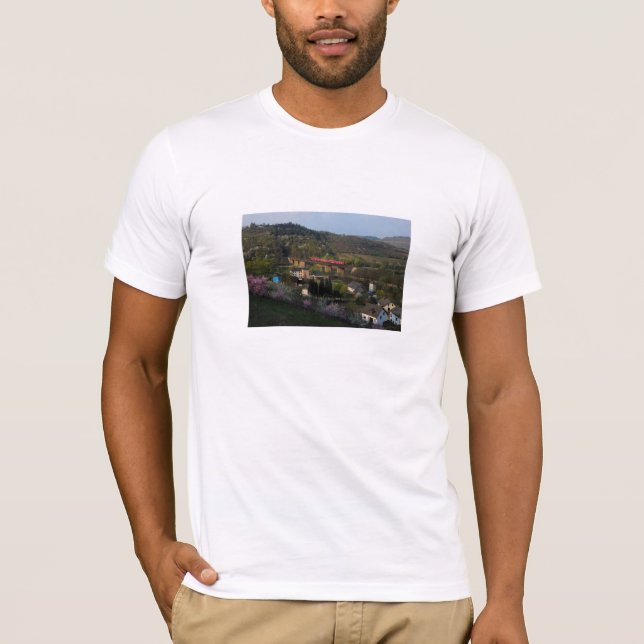 Camiseta Personenzug en Ediger Eller (Anverso)