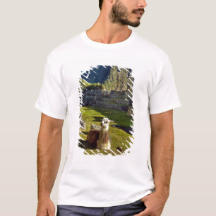 Camiseta Perú, Andes, Cordillera de los Andes, Machu Picchu
