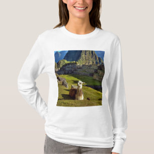 Camiseta Perú, Andes, Cordillera de los Andes, Machu Picchu