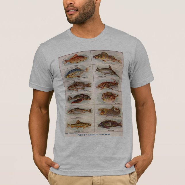 Camiseta Pescado de interés inusual Webster 1911 (Anverso)