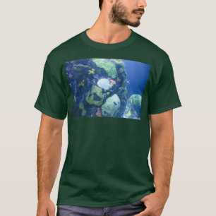Camiseta Pescado en el arrecife en el acuario de Tennessee