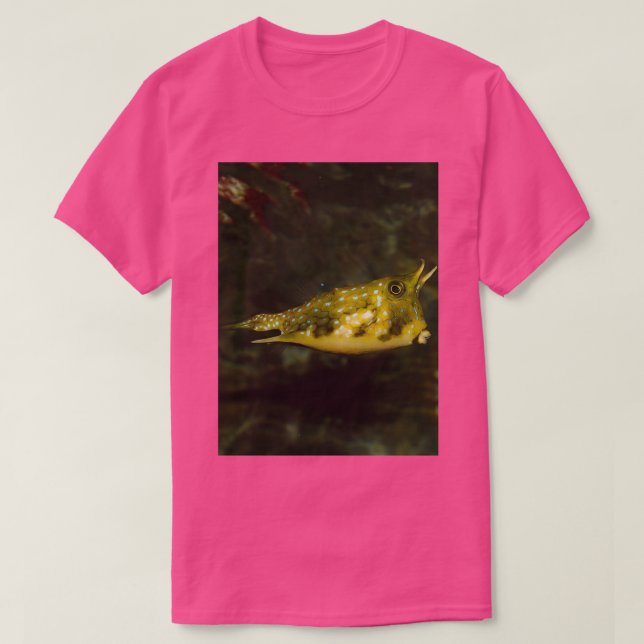 Camiseta Pescado extraño (Diseño del anverso)