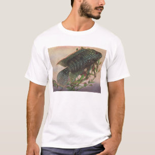 Camiseta Pescado - Jack Dempsey - octofasciatus del archoce