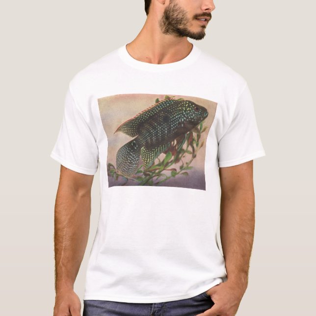 Camiseta Pescado - Jack Dempsey - octofasciatus del archoce (Anverso)