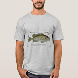 Camiseta Pescado No. 1 de Historia Natural Antigua