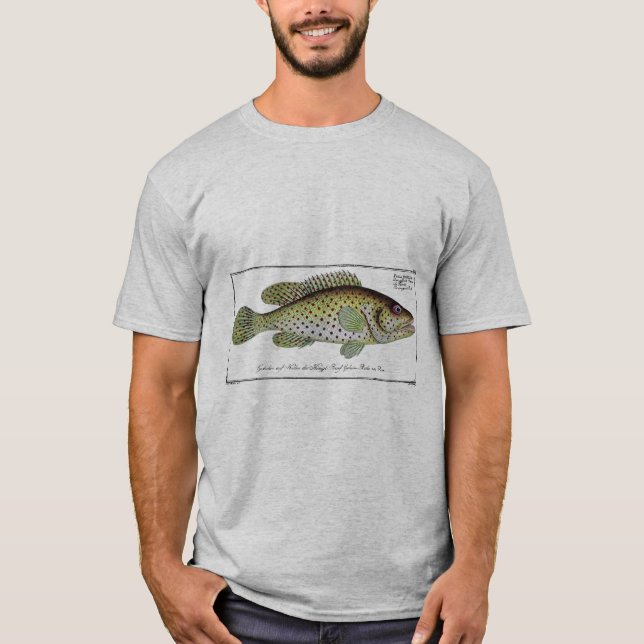 Camiseta Pescado No. 1 de Historia Natural Antigua (Anverso)