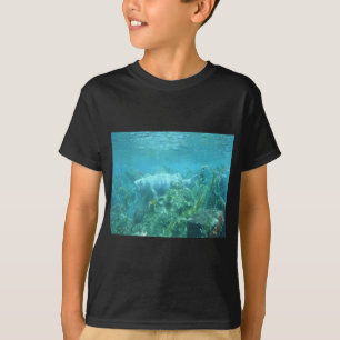 Camiseta Pescador... diseño de peces submarinos.