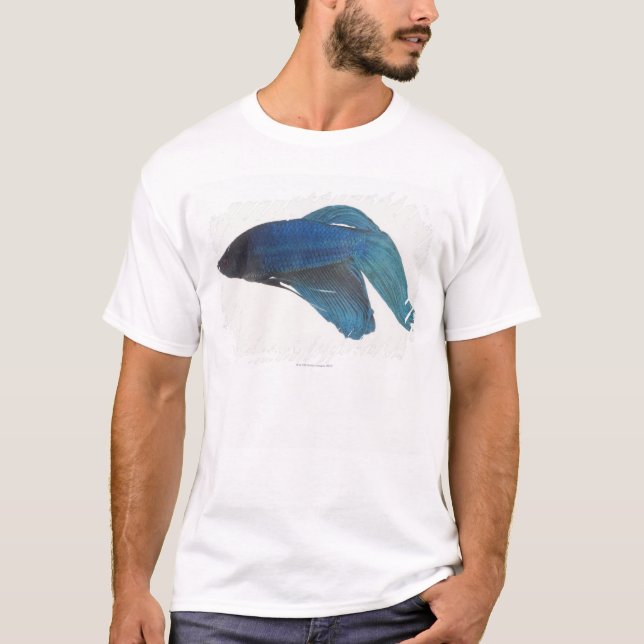 Camiseta Pescados de Betta o pescados que luchan siameses (Anverso)