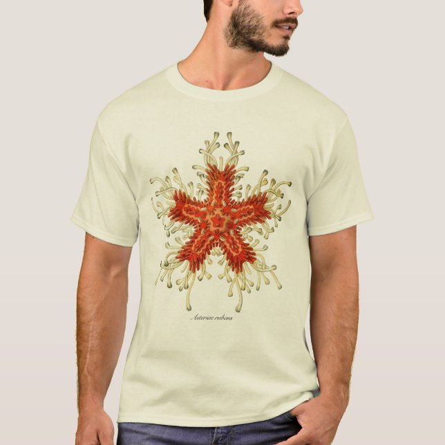 Camiseta Pescados de la estrella (Anverso)